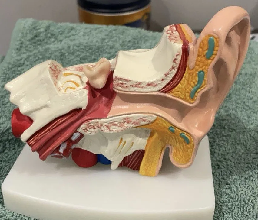 Disfunzione tubarica